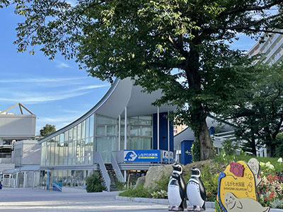 しながわ水族館【品川区】