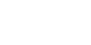 4年目