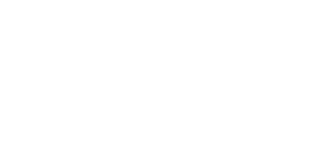 5年目