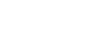 6年目