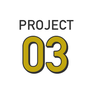 PROJECT03