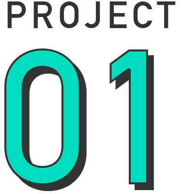 PROJECT 01